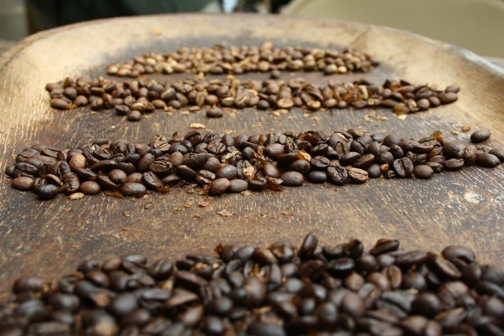 espressobohnen test